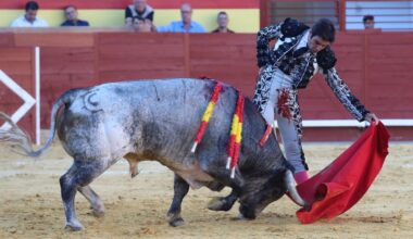 Interesante corrida de La Quinta, con salida a hombros de Perera en Palencia