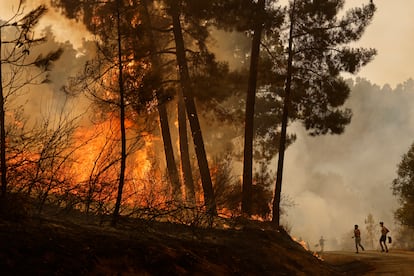 Habitantes de la zona y voluntarios actúan contra el incendio de Larouco (Ourense), este jueves.