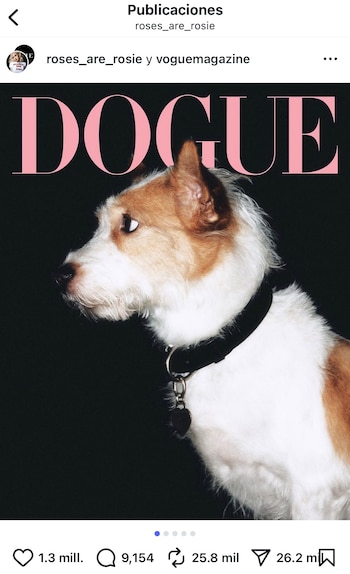 Hank en la portada de