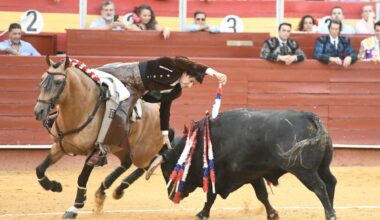 Diego Ventura,el prestidigitador del rejoneo