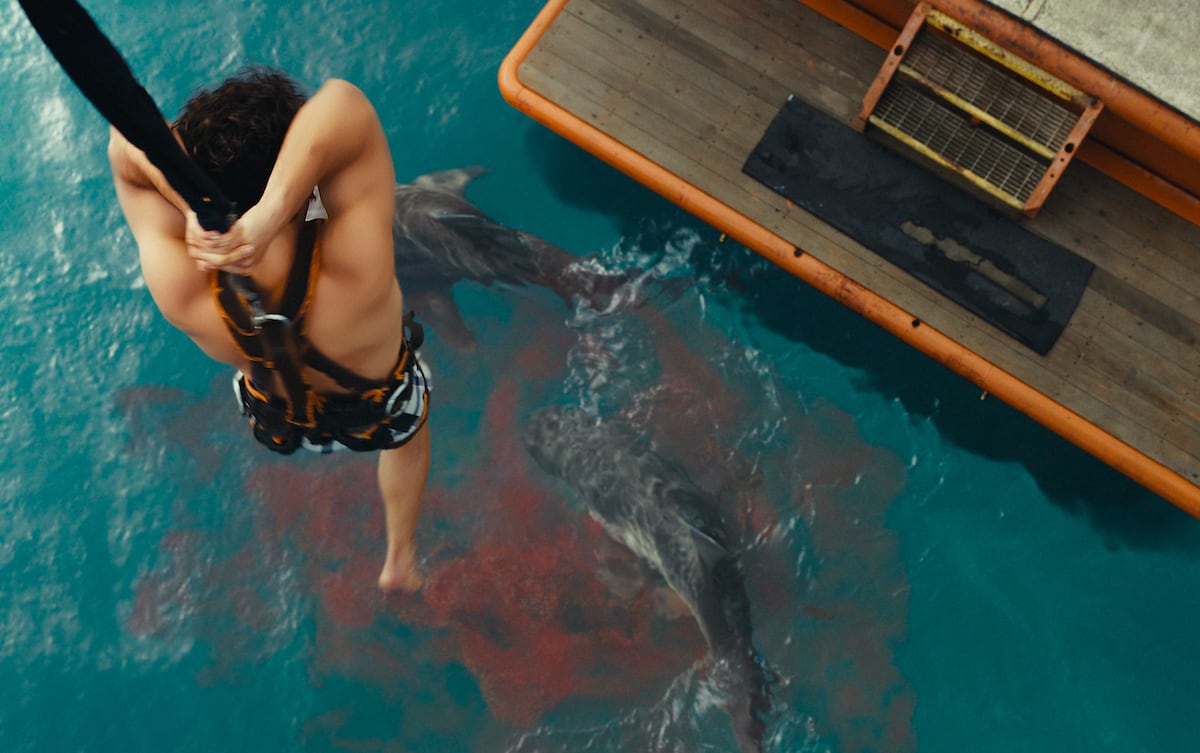 ‘Dangerous animals’: tiburones y películas ‘snuff’, curiosa vuelta de tuerca a la ‘sharksploitation’ | Cultura