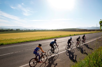 Un grupo de ciclistas pedalea