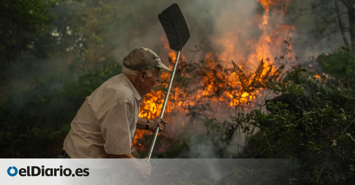 2025 es ya el peor año de incendios del siglo XXI y registra los fuegos más voraces de la historia