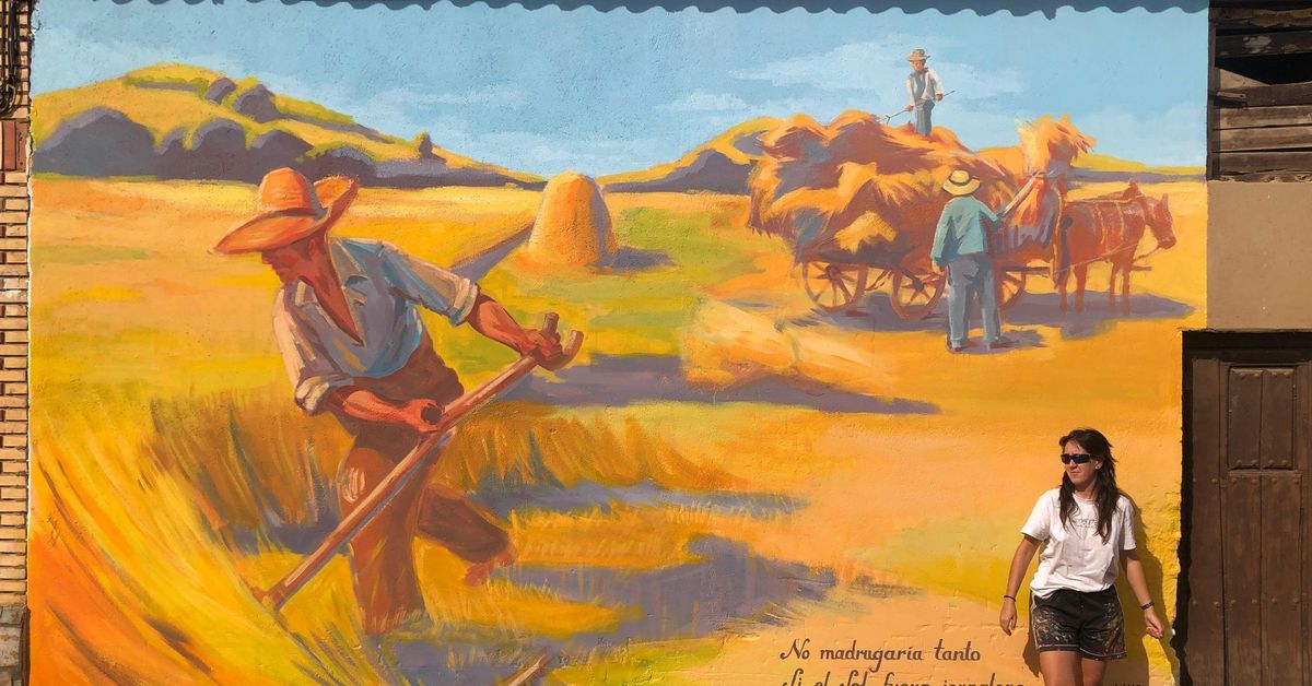 El orgullo de ‘pueblo agricultor’ embellece Manganeses de la Polvorosa