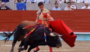 Triunfo de Daniel Luque en Pontevedra