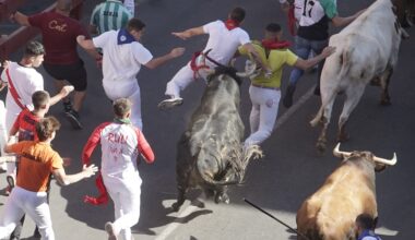 Emoción en el quinto encierro, con un herido por asta de toro - La Plaza de Sanse