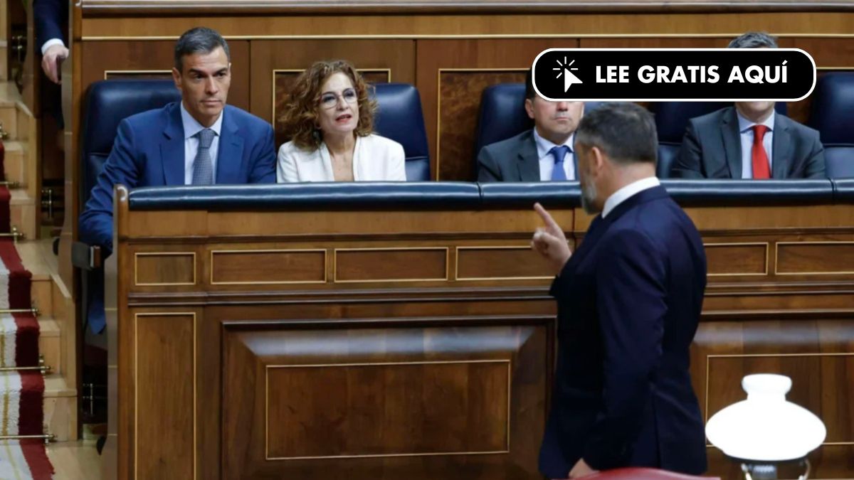 Vox suma tres diputados más a costa de un PSOE en plena caída, según una encuesta