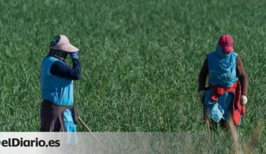 Muere en un accidente laboral una temporera marroquí de Jumilla aplastada por una carretilla