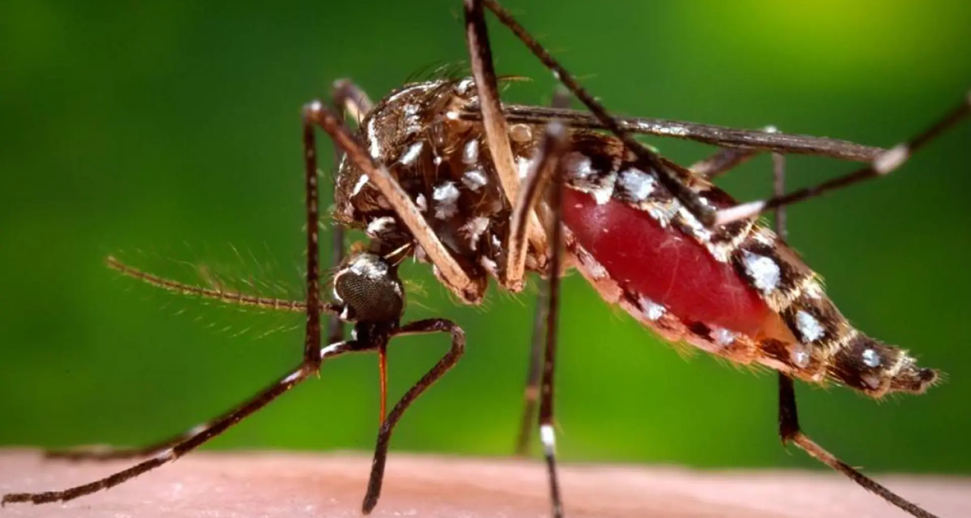 hay 3.000 infectados en una semana