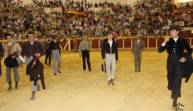Éxito de público y ambiente en el Festival Taurino Flamenco de Tomelloso