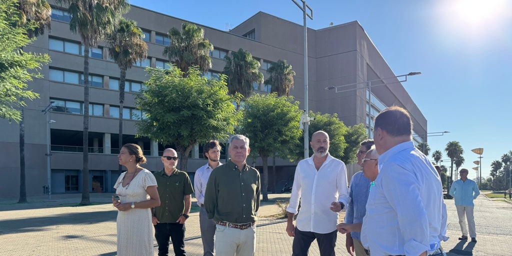 Urbanismo invierte casi un millón de euros en mejorar el entorno del estadio de la Cartuja para los partidos del Betis