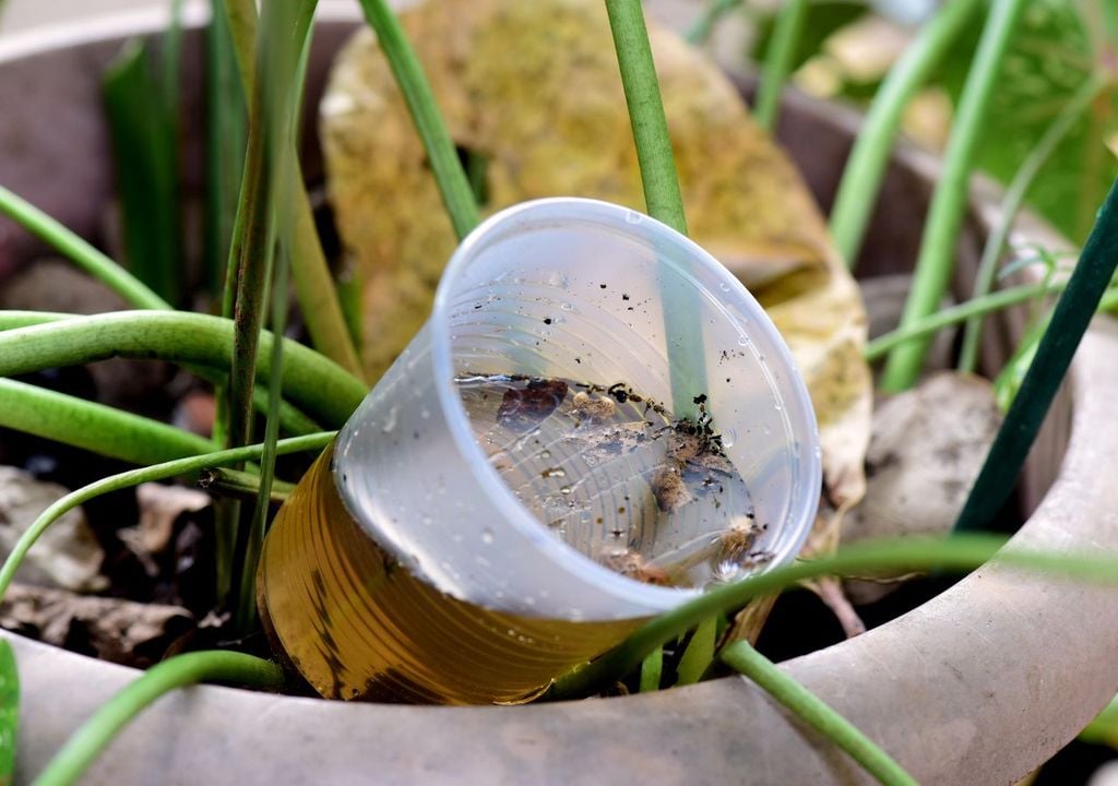 Agua estancada