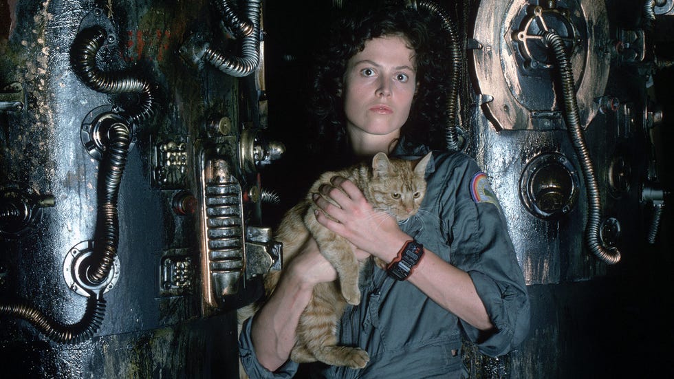 orden cronologico saga de peliculas alien alien el octavo pasajero sigourney weaver y el gato