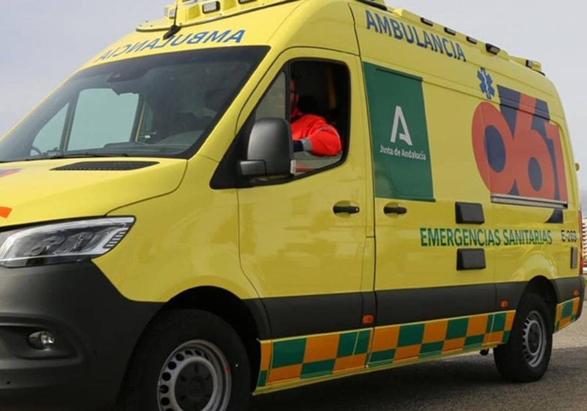 Evacuada al hospital una persona tras un incendio en una vivienda en Huelin