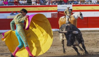 Una corrida, recortadores y toros de cajón en la Feria de Ampuero