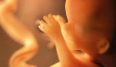 Nace "el bebé más viejo del mundo" a partir de un embrión creado hace 30 años