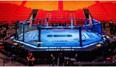 Arena y logo de UFC