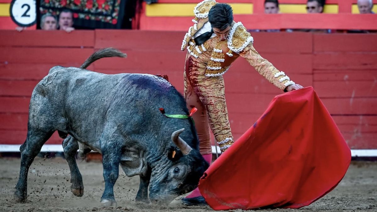 Levante-EMV