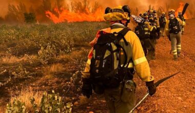 El fuego no da tregua: sube a nivel 2 el nuevo incendio de Almanza
