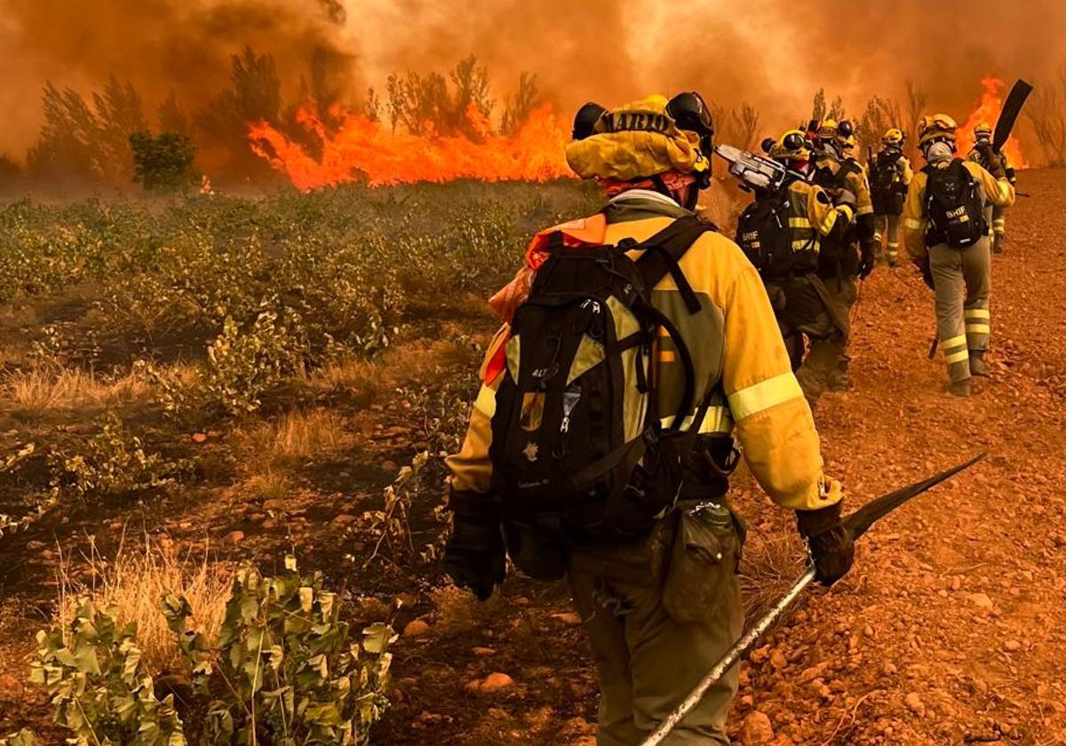 El fuego no da tregua: sube a nivel 2 el nuevo incendio de Almanza