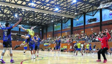 El Bidasoa cae con honor ante el Limoges