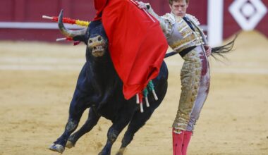 «Trabajo para convertirme en poco tiempo en el número 1 del escalafón»