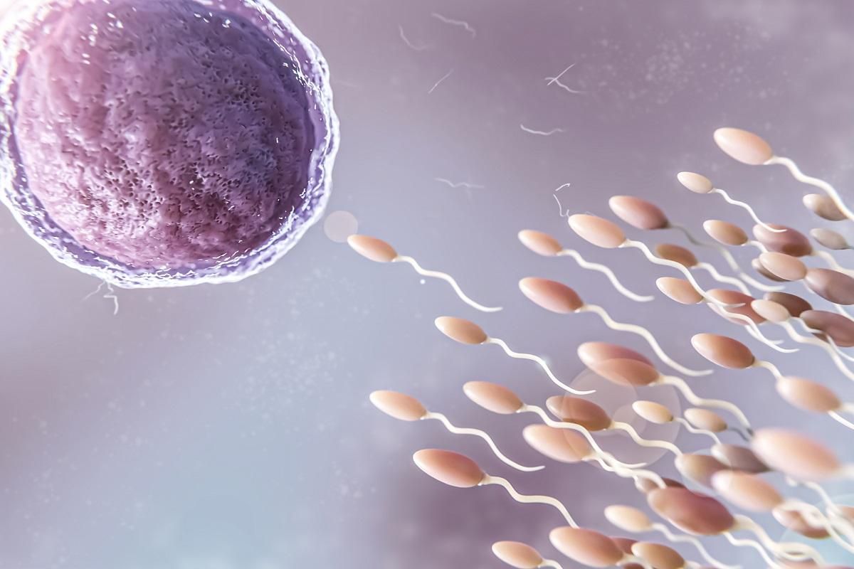 La reducción del estrés y la radiación solar hacen del verano un buen momento para la fertilidad femenina.