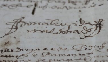Vida y obra de la "triste Brígida Maldonado", la pionera de los libros que dirigió la gran imprenta española del XVI