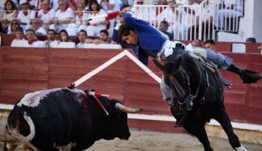 Fiestas Estella | Triunfo, torería y música en la ‘encerrona’de Guillermo Hermoso de Mendoza