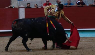 Preocupación empresarial: Morante, un torero insustituible