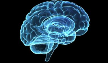 cerebro-señales-eléctricas-alzheimer