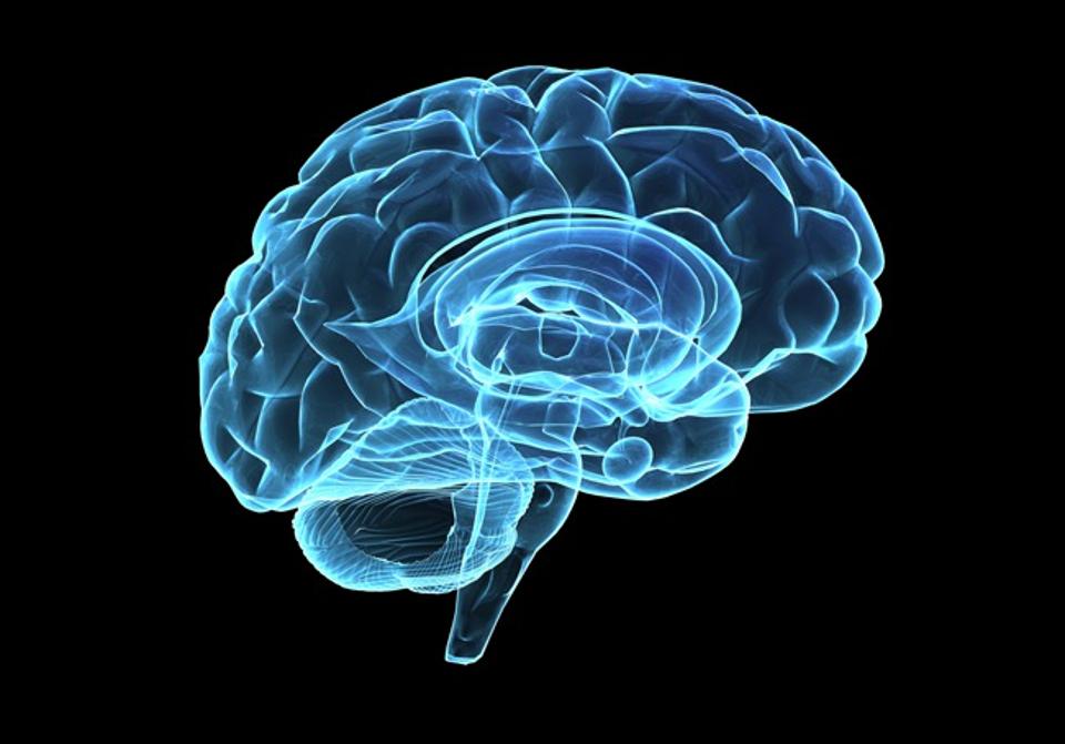 cerebro-señales-eléctricas-alzheimer