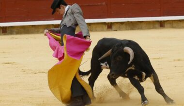 Pedro Caminero, Iker de Virgilio e Iker Rodríguez, triunfadores de la clase práctica de San Antolín