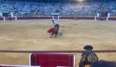 Puerta grande para Roca Rey después de haber sido cogido dos veces en Huesca - heraldo.es
