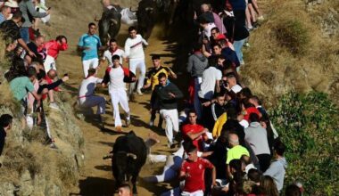 Crónica del penúltimo encierro del Pilón de Falces 2025