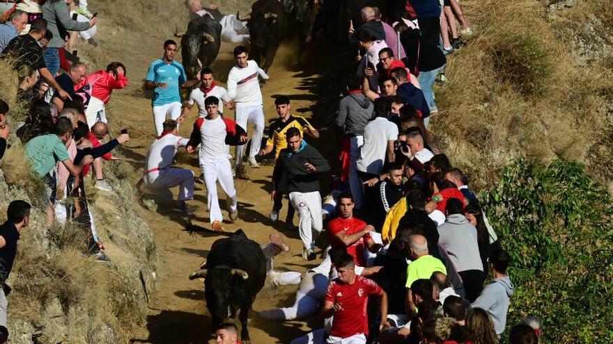 Crónica del penúltimo encierro del Pilón de Falces 2025