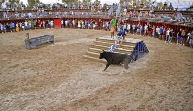Levante-EMV