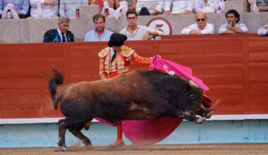 La corrida de toros de la fiesta de La Peregrina