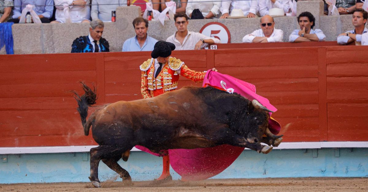 La corrida de toros de la fiesta de La Peregrina