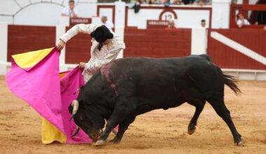 En directo: Feria Taurina de Begoña, en Gijón