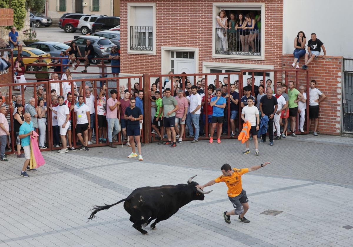 Los pueblos mantienen sus festejos taurinos pese al encarecimiento de permisos y ganado