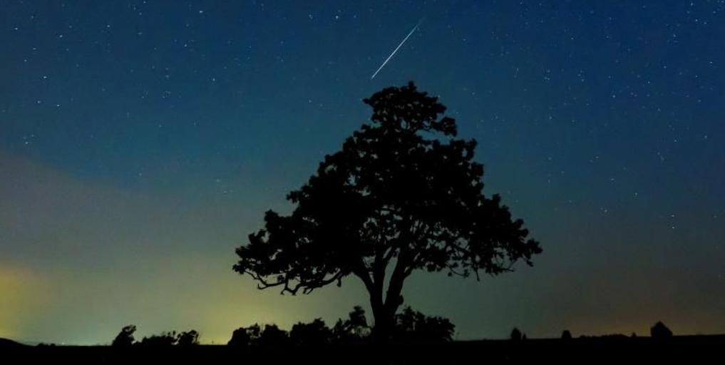 fechas, horarios y cómo ver la lluvia de estrellas desde Los Villares