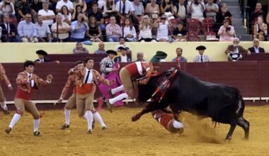 Muere forcado portugués de 22 años luego de ser azotado contra las tablas por un toro de 695 kilos y sufrir una lesión cerebral