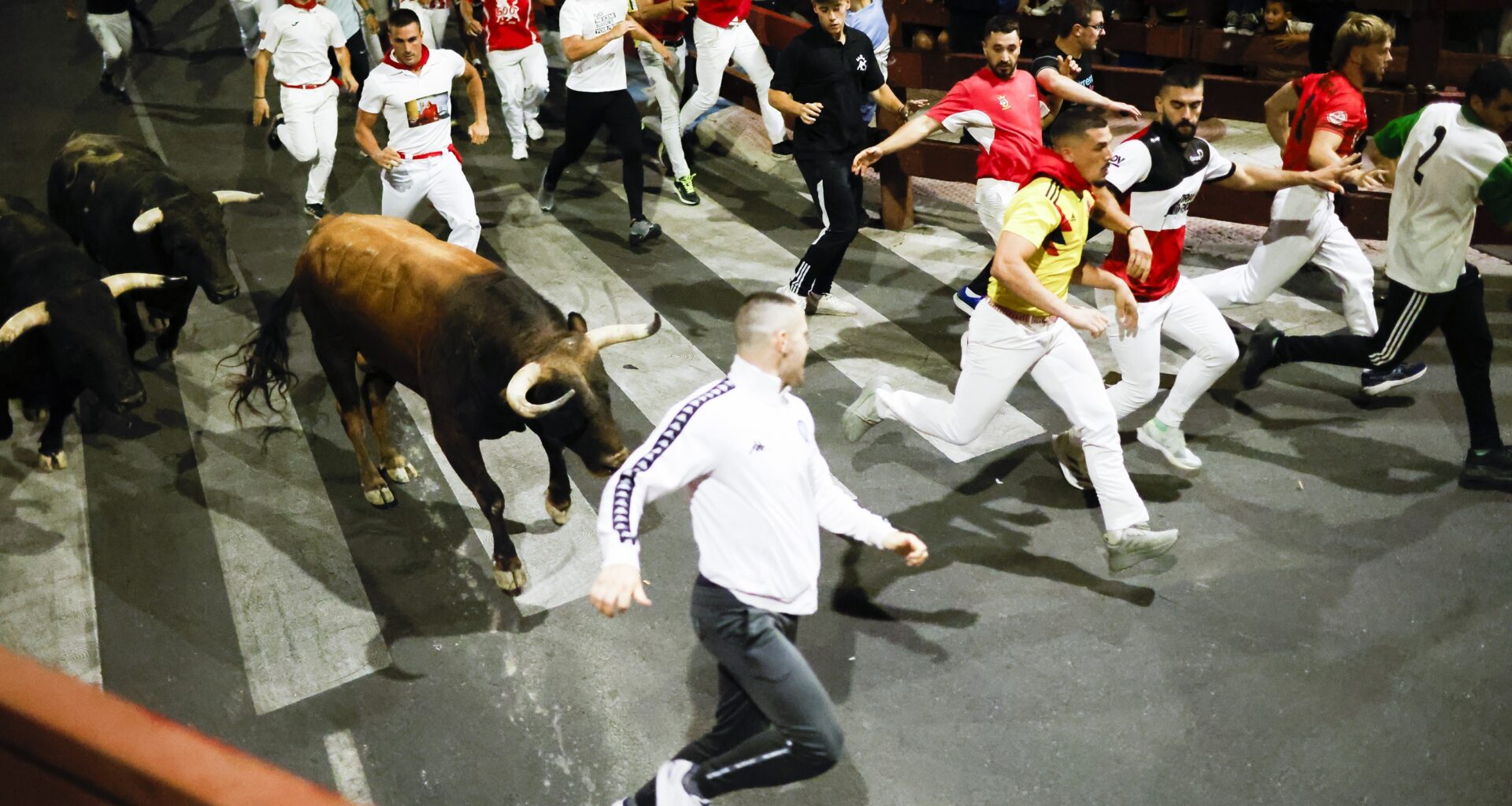 Segundo encierro, nocturno, con 50 000 espectadores y 3 000 corredores en la manga - La Plaza de Sanse