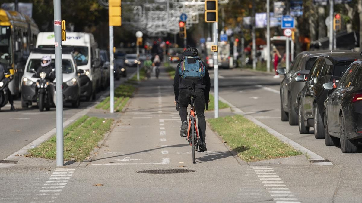 "Muchos ciclistas tienen la costumbre de circular en sentido contrario por el carril bici"