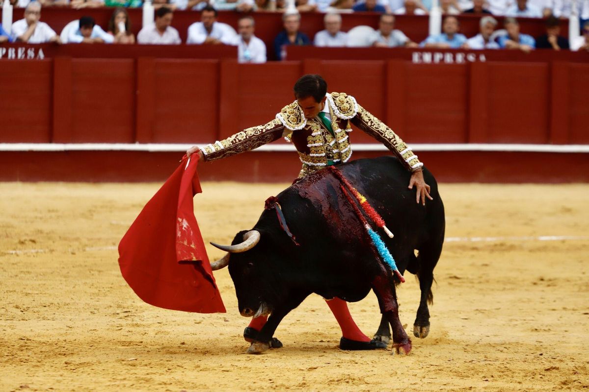 Imágenes de la corrida de toros celebrada en La Malagueta el lunes 18 de agosto de 2025