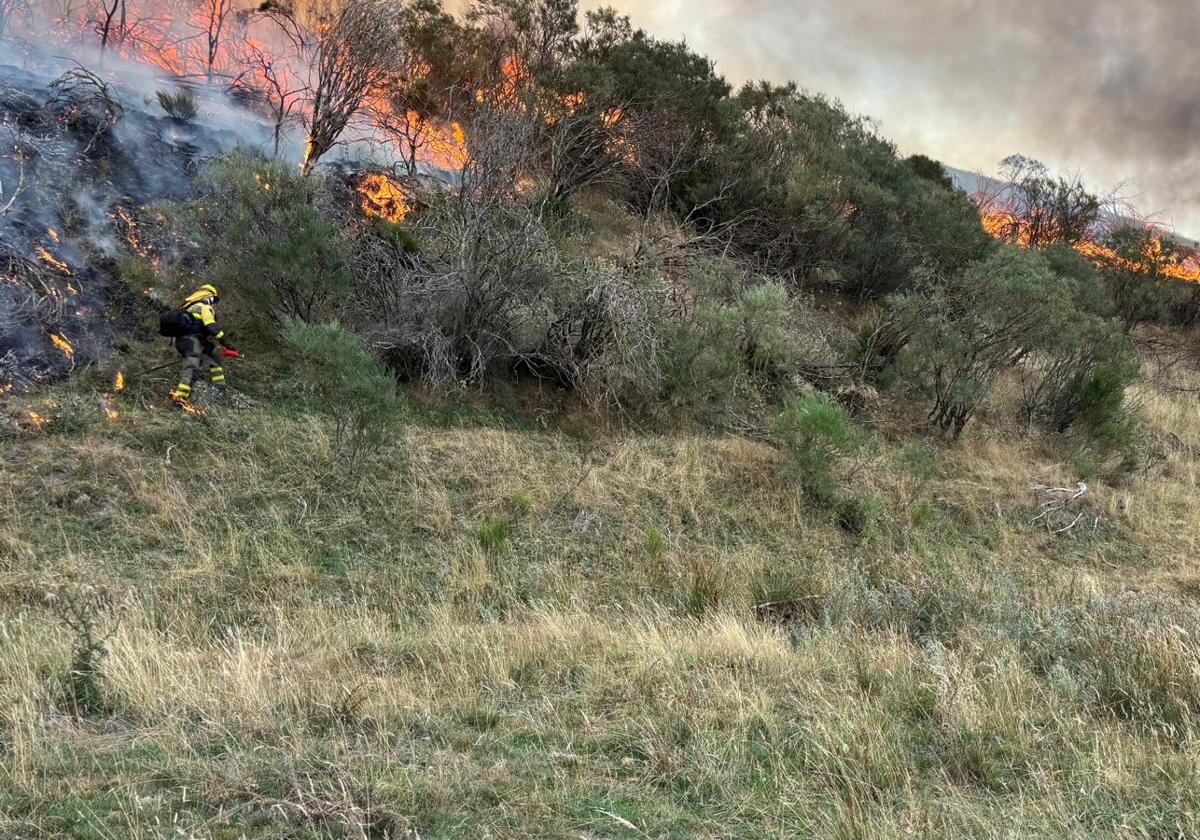 El incendio de Zamora pasa a León y obliga a desalojar siete pueblos con 1.700 habitantes