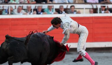 ¡Ay si Hostelero hablara y las vacas riñesen a sus hijos!