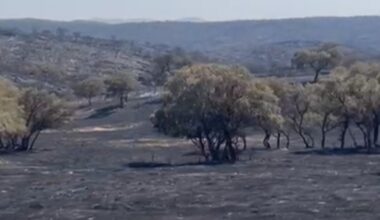 «Ningún ecologista ha venido a salvar las vacas»