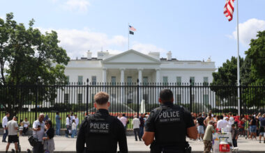 La Casa Blanca acogerá un combate de la UFC el Día de la Independencia en 2026